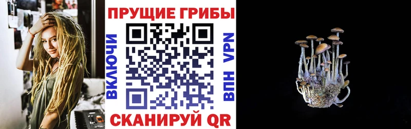 Псилоцибиновые грибы Magic Shrooms  где можно купить наркотик  Майский 