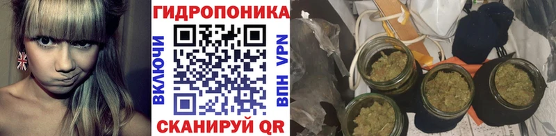 Каннабис ГИДРОПОН  купить наркоту  Майский 